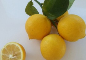 9kg Limones Verde