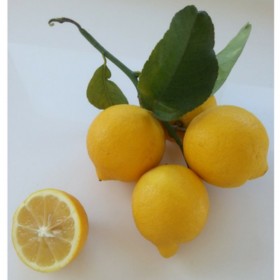 9kg Limones